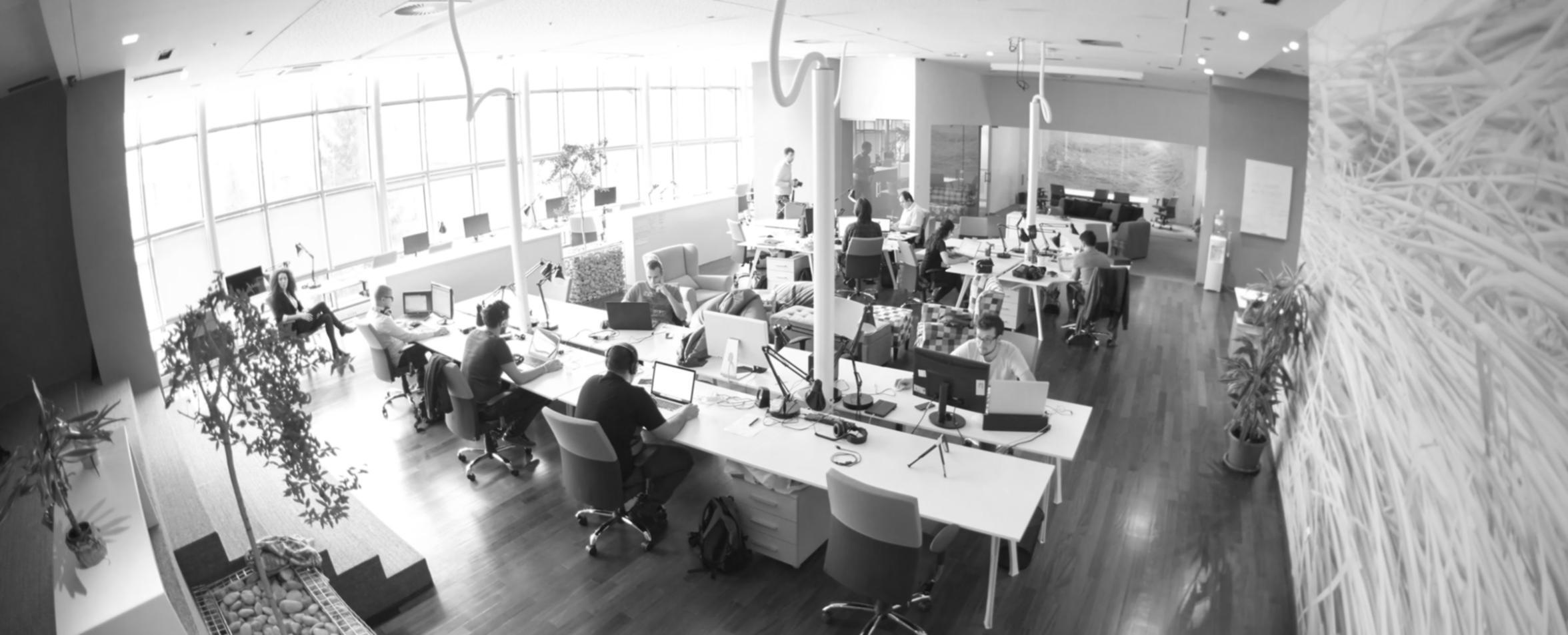 Praxisorientiertes Lernen im Geschäftsaufbau